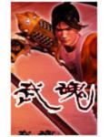 武魂小说封面