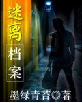 迷离档案小说封面