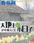 大地主的小日子小说封面