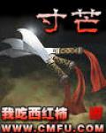 寸芒小说封面