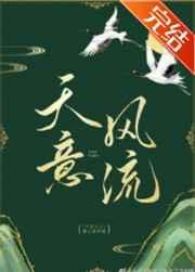 天意风流小说封面
