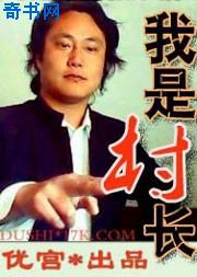 我是村长小说封面