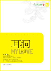 耳洞小说封面