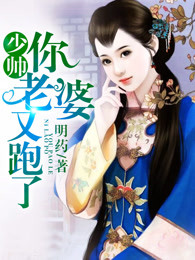 少帅你老婆又跑了小说封面