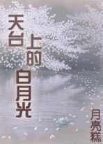 天台上的白月光小说封面