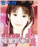 残暴将军的小妾小说封面