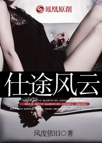 仕途风云小说封面