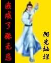 我成了张无忌小说封面