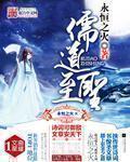 儒道至圣小说封面