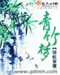 青竹梦小说封面