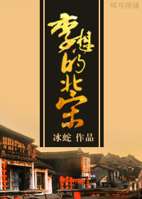 李想的北宋+番外小说封面