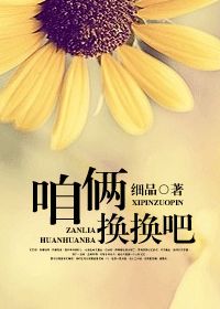 咱俩换换吧小说封面