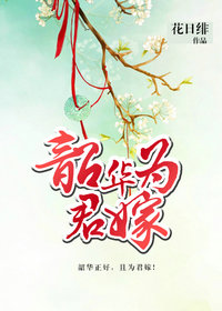 韶华为君嫁小说封面
