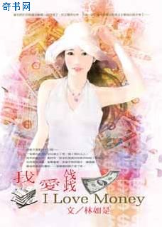我爱钱小说封面