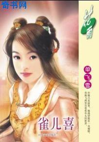 雀儿喜小说封面