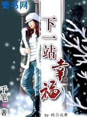 下一站幸福小说封面