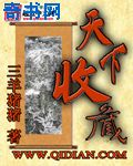 天下收藏小说封面
