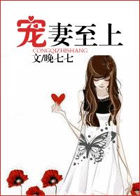 宠妻至上小说封面