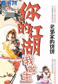 你的江湖我做主小说封面
