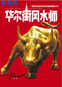 华尔街风水师小说封面