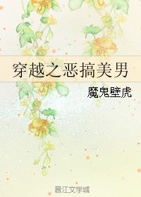 穿越之恶搞美男小说封面