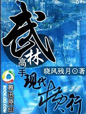 武林高手现代横行小说封面