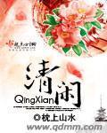 清闲小说封面