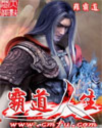 霸道人生小说封面