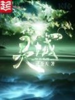 灵域小说封面