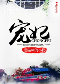 宠妃小说封面