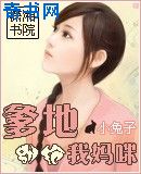 爹地,别抢我妈咪(偷种兔女郎)小说封面
