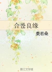 合卺良缘小说封面