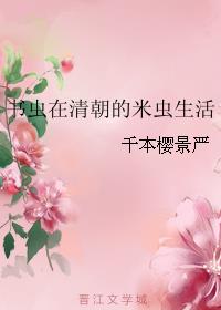 书虫在清朝的米虫生活小说封面