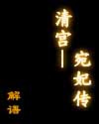 清宫——宛妃传小说封面