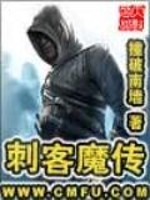 刺客魔传小说封面