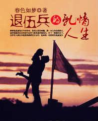 退伍兵的乱情人生小说封面