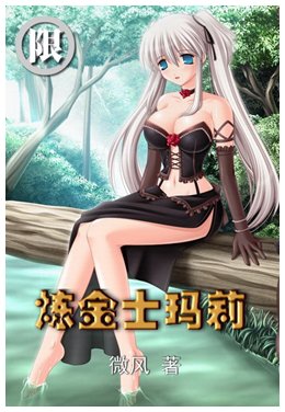 炼金士玛莉小说封面