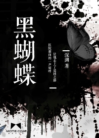 黑蝴蝶小说封面