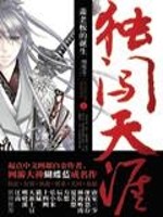 独闯天涯小说封面