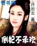 盗妃天下(侧妃不承欢)