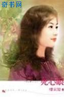 死心眼小说封面