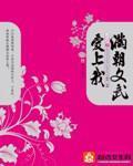 满朝文武爱上我小说封面