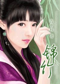 锦竹小说封面