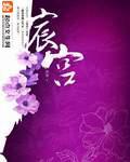 宸宫小说封面