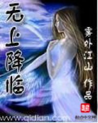 无上降临小说封面