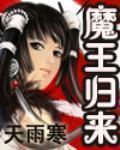 魔王归来小说封面