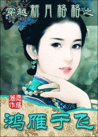 穿越新月格格之鸿雁于飞小说封面