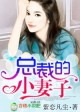 总裁的小妻子小说封面