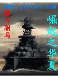 崛起之华夏小说封面
