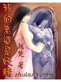 我的老婆是妖精小说封面